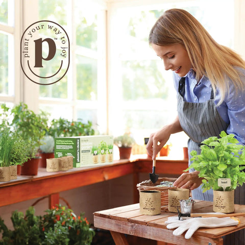 Woman gardening with 9 Herb Indoor Window Garden Kit With Seed Starter For Fresh Homegrown Herbs, Easy To Grow In Kitchen