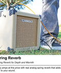 G-Charge 20 Battery Powered Guitar Amplifier With 6.5 Inch Speaker positioned outdoors on grass next to musician's legs