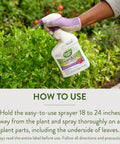 Person spraying Organic Garden Insect Killer Spray For Home Gardens And Greenhouses Kills 100 Plus Listed Pests On Contact Safe For Use Up To Day Of Harvest 32 Fluid Ounces on plants