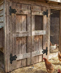 Eight Pack 4.5 Inch Antique Cast Iron T Hinges installed on rustic barn door with chickens