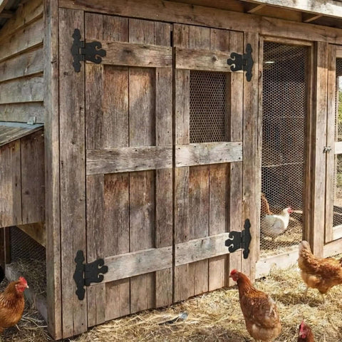 Eight Pack 4.5 Inch Antique Cast Iron T Hinges installed on rustic barn door with chickens