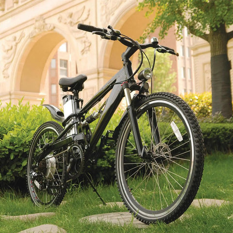 Electric bicycle with 36V 500W brushed motor controller for scooters, e-bikes, bicycles, and tricycles in a park setting.