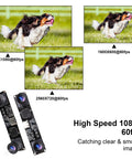 1080P 60FPS USB Camera Module With Dual M12 Lenses And 3840x1080 Resolution showcasing high-speed video capture with dog images