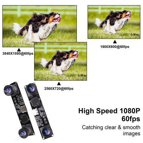 1080P 60FPS USB Camera Module With Dual M12 Lenses And 3840x1080 Resolution showcasing high-speed video capture with dog images