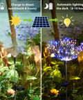 Must Have Outdoor Solar Firework Stake Lights With 120 LEDs Waterproof 2 Pack Sparklers in garden, daytime charging, night glowing