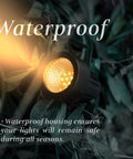 2.4Ghz WiFi Bluetooth RGB Landscape Lights Kit waterproof spotlight glowing among leaves