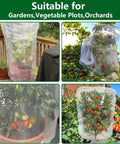 2 Pack Garden Insect Barrier Netting With Drawstring 4.9 By 3.2 Feet Plant Cover installed on fruit trees and veggies.