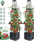 Raised Garden Bed Tomato Planter With Trellis, Self Watering System, 57 Inch Tomato Cages, two-pack with accessories and box
