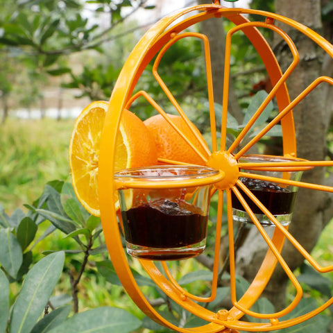 Oriole Bird Feeder For Outdoors Jelly And Oranges Glass And Powder Coated Metal Hanging Feeder With Clear Jelly Cup