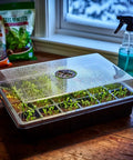 24 Cell Seed Starter Tray With Dome For Easy Seed Starting, 5 Pack 2 Inch Plug Trays Totaling 120 Cells on a wooden table
