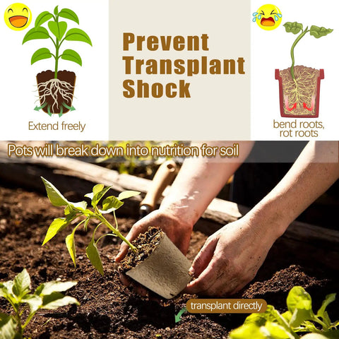 Biodegradable Seed Starter Pots Set 102 Pack 3.15 Inch With Drainage Holes For Seedlings Garden Plant Starters For Veggies And Flowers Includes Bonus 50 Plant Labels Easy Start No Fuss