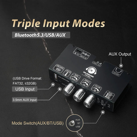 100W Mono Bluetooth 5.3 Amplifier Board With TWS Pairing, TPA3116D2 Digital Power Amp Module showcasing AUX, USB, and Bluetooth inputs