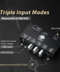 Beefy 100W Mono Bluetooth 5.3 Amplifier Board With TPA3116D2 Class D Chip Built In Step Up Circuit 19V 24V TWS Wireless Pairing AUX USB And DC 12-24V Input For DIY Home Speakers And Small AV Setups, black metal case with input labels