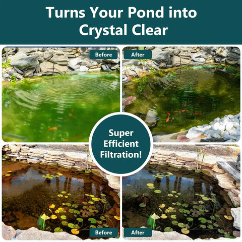 Before and after pond images using Plug And Play Pond Filter With Pump Fountain Kit 400 GPH Three Spray Patterns