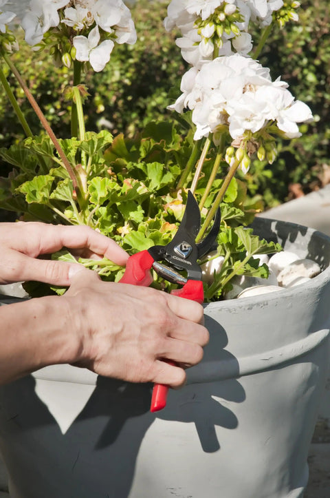 ComfortGEL Bypass Hand Pruner With Three Quarters Inch Cut Capacity Red Handle trimming plant stems in garden