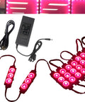 Magenta Hot Pink 40ft LED Light Module For Storefronts With 5630 LEDs Waterproof UL Listed 12V AC Power 80 Modules Ultra Bright Neon Glow