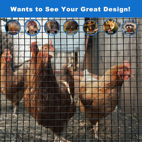 Heavy Duty Black Hardware Cloth Chicken Wire Roll 1/2 Inch Mesh 48 X 100 Feet Long 19 Gauge Coated Steel Metal Fencing around chickens.