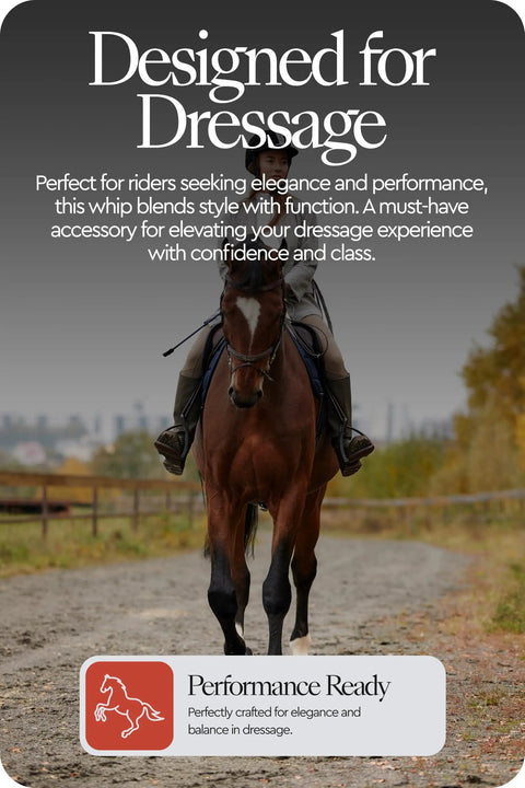 Rider on horse using lightweight dressage whip, black finish, for precise cues in stylish competition with subtle sparkle.