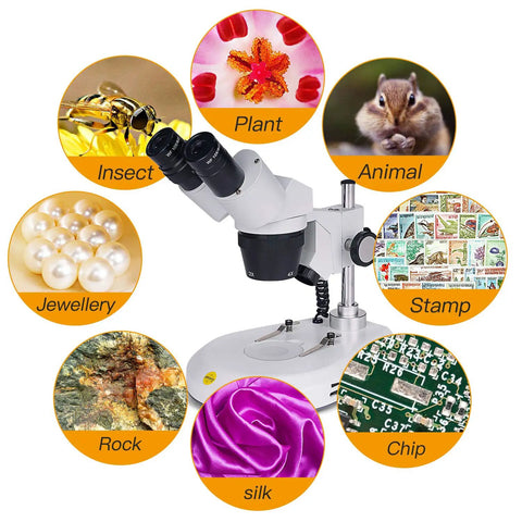 Binocular Stereo Microscope Pro Grade With 20X 40X 80X Magnification, 360 Degree Rotating Head, Wide Field 10X and 20X Eyepieces, Dual LED Illumination, Reversible Stage Plate, Ideal For Electronics, Gemology, Coins, Jewelry, and Hobby Microscope Work for insect, plant, animal, chip, rock, silk and jewelry viewing
