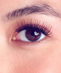Close-up of an eye with Complete DIY Eyelash Extensions Starter Kit With Bond And Seal, Precision Applicator, natural rounded wisps