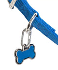 MicroLink Pet Tag Carabiner Clip Stainless Steel For Cats And Dogs Secure Tag Attachment With Quick Clip Action on blue collar
