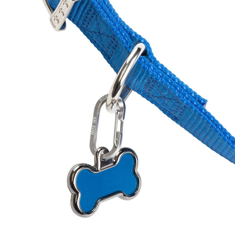 MicroLink Pet Tag Carabiner Clip Stainless Steel For Cats And Dogs Secure Tag Attachment With Quick Clip Action on blue collar
