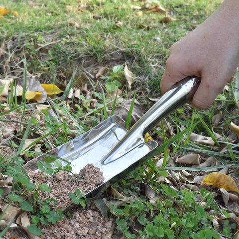 Using Stainless Steel Garden Trowel Hand Shovel for planting, small spade tool digging soil in garden bed