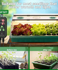 All In One Indoor Seed Starter Kit With Grow Light And Heat Mat For Seed Germination, 10 By 20 Inch Tray With 60 Cells and Thermostat
