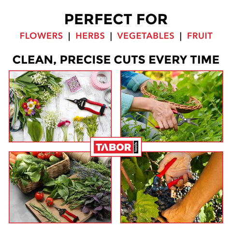 Ultra Light Long Reach Pruning Shears For Garden And Florist Use displayed with flowers, herbs, vegetables, and fruit.