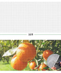Heavy Duty Garden Mesh Netting For Plants 10x33 Feet Insect Proof Garden Cover Bug Netting Berry Protection No Fuss Durable Polyethylene