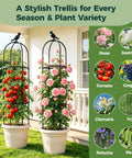 Space Saving Garden Obelisk Trellis For Climbing Plants Outdoor And Indoor Use, Rustproof Metal Plant Support for tomatoes and roses in pots