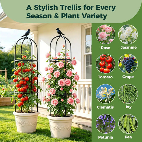 Space Saving Garden Obelisk Trellis For Climbing Plants Outdoor And Indoor Use, Rustproof Metal Plant Support for tomatoes and roses in pots