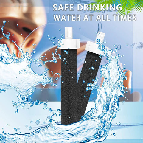 Replacement Water Bottle Filter Set For Brita BB06 Compatible Bottles showing two coconut carbon block filters.