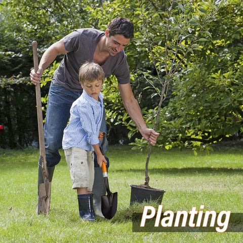 Father and son using All Around Mini Garden Shovel 28 Inch D Handle Kid Friendly Beach And Garden Tool for planting tree.