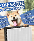 Dog with 116130 HEPA Filter H For 5500 2 AM80 Plasmawave Air Purifier, highlighting pet hair filtration benefits.