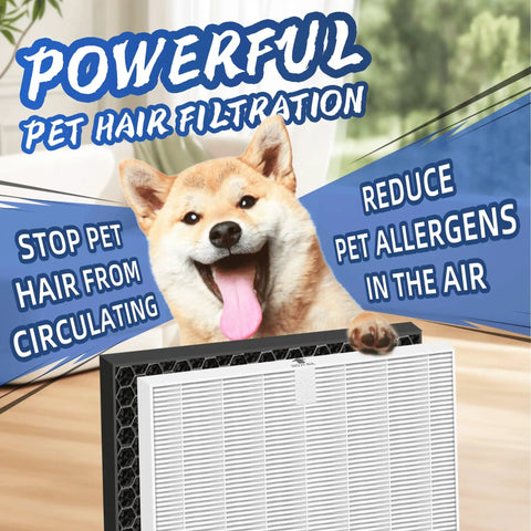Dog with 116130 HEPA Filter H For 5500 2 AM80 Plasmawave Air Purifier, highlighting pet hair filtration benefits.