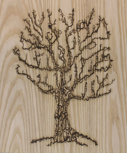 Fractal tree pattern on wood using Lichtenberg Wood Burning Transformer 10kV 30mA Neon Sign Power Supply For Fractal Burning