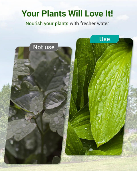 Comparison of plants without and with Garden Hose Water Filter For Plants Reduces Chlorine And Odor Improves Plant Health Ideal For Organic Gardening Farming And Pets KDF And Coconut GAC Filtration Four Pack
