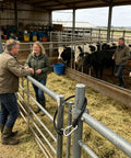 Ranch Tough Horse Stall Gate Latch With Twist Lock And Secure Barn Door Fastener in use with farmers in livestock enclosure.