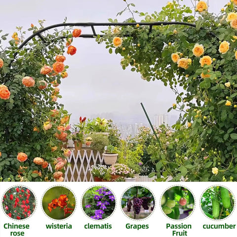 Beefy Garden Arch Trellis for Climbing Plants Outdoor 126 Inch Long 94.5 Inch High 15.8 Inch Wide Durable Galvanized Steel with blooming roses