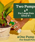 Using Straight Fire Liquid Plant Food For Indoor Houseplants And Potted Greens, a woman waters a potted plant.