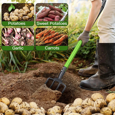 Heavy Duty Garden Fork 45 Inch Pitch Fork With Steel Tines And Comfortable Y Grip digging potatoes in garden soil