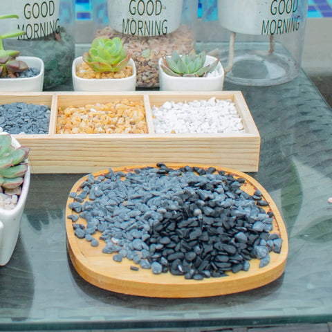 18lb Black Cactus Pea Gravel Rocks 1 Quarter Inch Pebbles for Indoor Plants and Succulents arranged on a wooden tray
