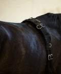 Lunging Surcingle For Horses Durable Nylon Trainer Gear With Multi Ring Setup For Side Reins And Aids Black Easy Adjustable Surcingle