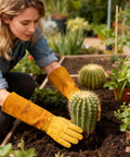 Gardener wearing Leather Gardening Gloves For Women And Men With Long Gauntlet Built Tough For Thorny Plants handling cactus