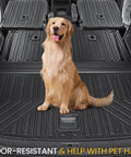 Golden retriever on All Weather TPE Cargo Mat With Backrest Mats For Volkswagen Atlas 6 And 7 Seat SUV 2018 2019 2025 2026 Trunk Liner