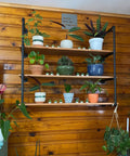 Industrial Pipe Shelving Kit 55 Inch Tall 5 Tier DIY Wall Mounted Iron Pipe Bracket System Matte Black Heavy Duty Shelving shown with plants