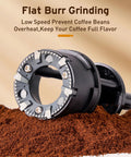 Ollygrin Flat Burr Coffee Grinder With Adjustable Grind Settings For Espresso French Press Capsule, close-up of flat burr and ground coffee.
