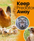Heavy Duty Bird Netting For Chicken Coops And Garden Use One And A Half Inch Mesh To Stop Hawks And Predators Protect Trees