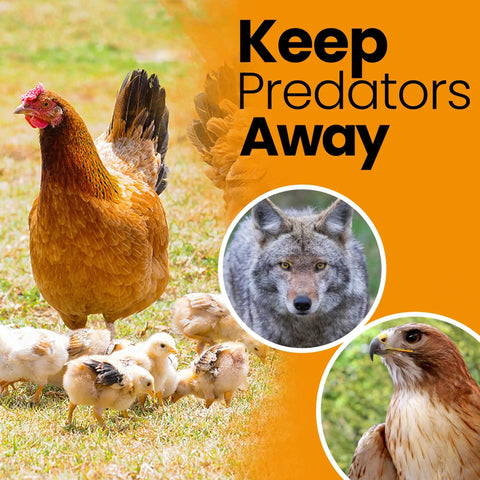 Heavy Duty Bird Netting for Chicken Coops and Gardens, Ultra Strong 1.5 Inch Mesh Keeps Hawks and Predators Away. Image shows a chicken with chicks, a fox, and a hawk in circles.